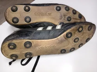 Coleccionista