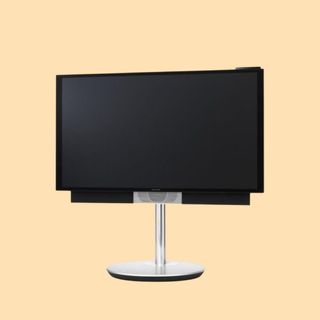 BEOVISION AVANT 55 OG