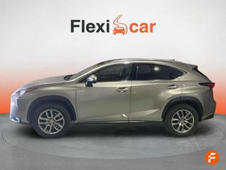 Lexus NX 2.5 300h Business 2WD
