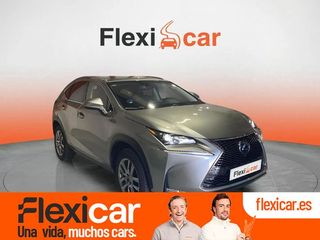 Lexus NX 2.5 300h Business 2WD
