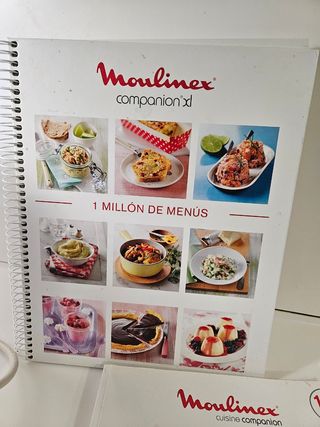 ACCESORIOS Robot Molinex Companion XL