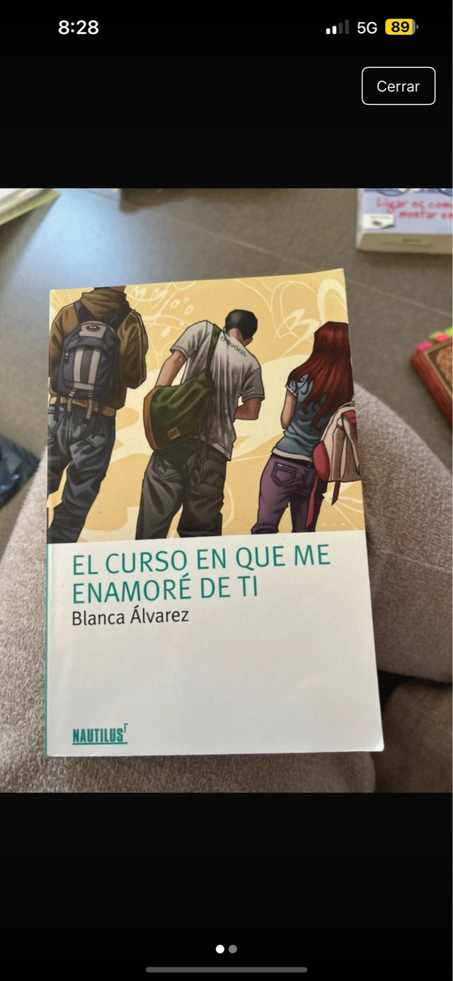 El curso en que me enamoré de ti