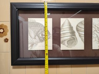 Marco decoración con fondo.