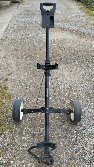 Carrello golf