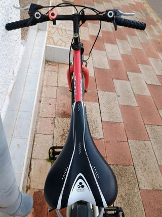 Bicicleta toptrotter. 26pulgadas. 16velo