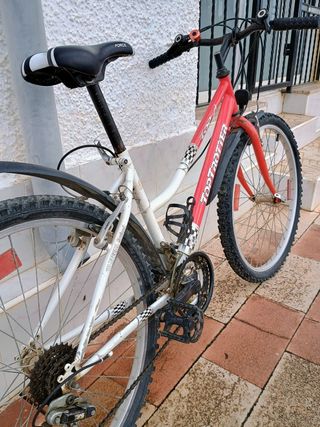 Bicicleta toptrotter. 26pulgadas. 16velo