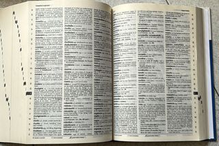 Dizionario Italiano-Inglese-Italiano