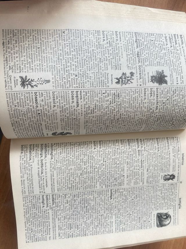 Vocabolario Nicola Zingarelli