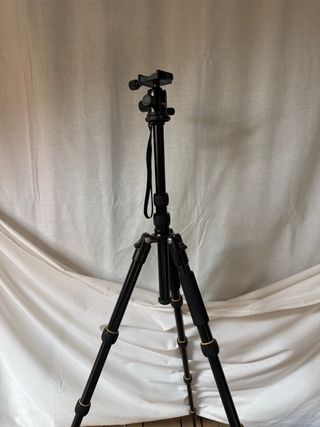 Canon EOS 600D + 4 objetivos