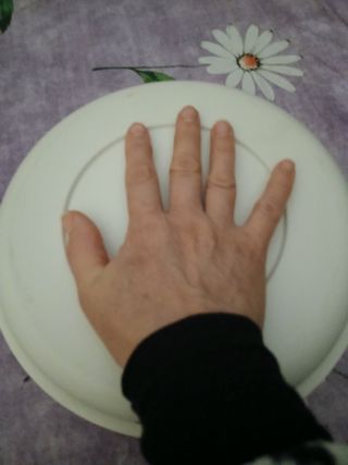 Antipastiera tupperware