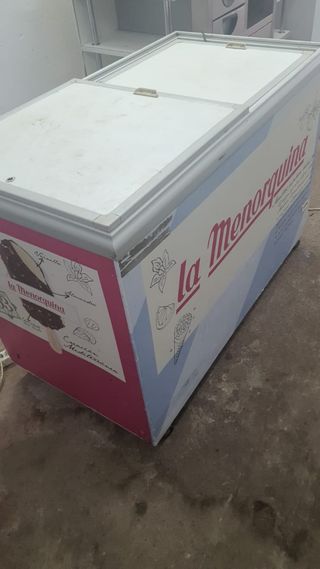 631213000 congelador industrial