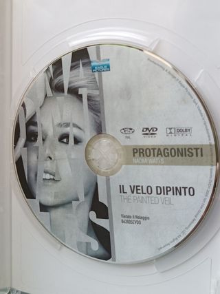 DVD Il Velo Dipinto