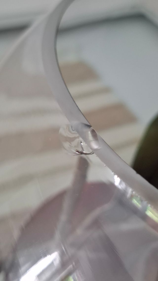 Pecera grande redonda.