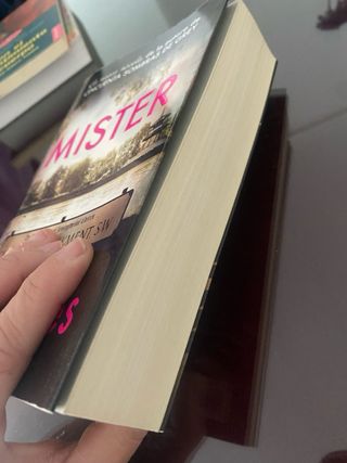 Mister (edición en castellano) (Mister 1)