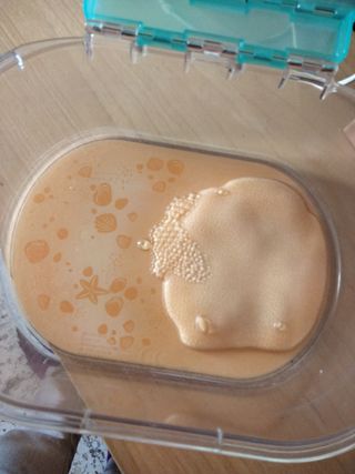 Tortuga y terrario Little Life pets