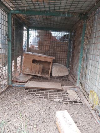 Jaula animales conejos