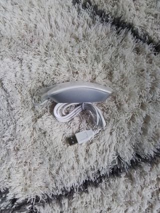 Mini ratón blanco