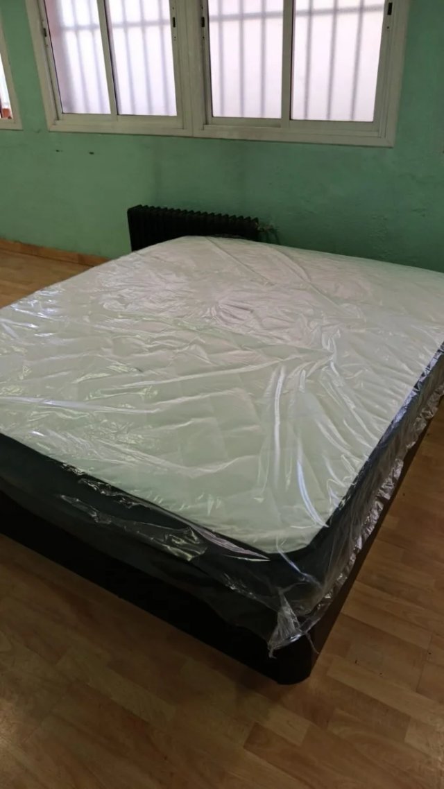 Canapé CHOLLO CAMA OFERTA Canapé Canapé Canape
