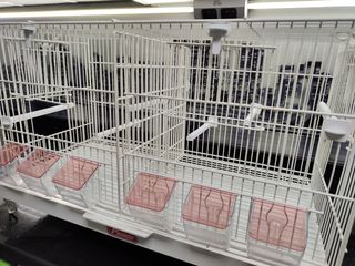 Jaula voladera Pedros