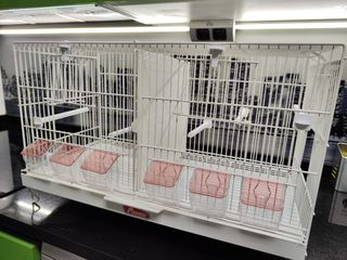 Jaula voladera Pedros