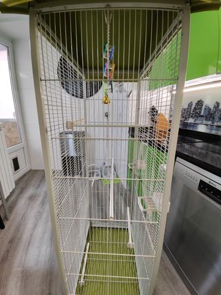 Jaula para loros