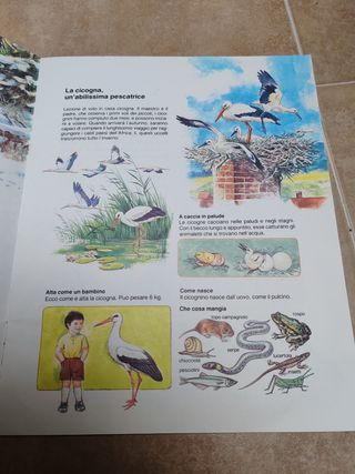 Libro favole per bambini anni 60