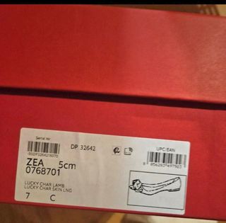 Bailarinas Ferragamo