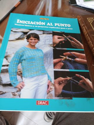 INICIACION AL PUNTO. TECNICAS BASICAS Y 10 PROYECTOS EXPLICADOS PASO A PASO (Spanish Edition)