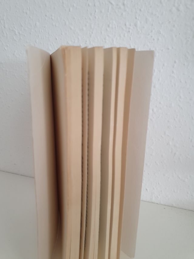 Libro Nuestra Señora de Paris