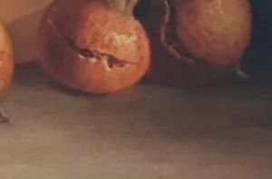 Oleo Manuel VENTURA MILLAN