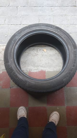 Neumáticos 