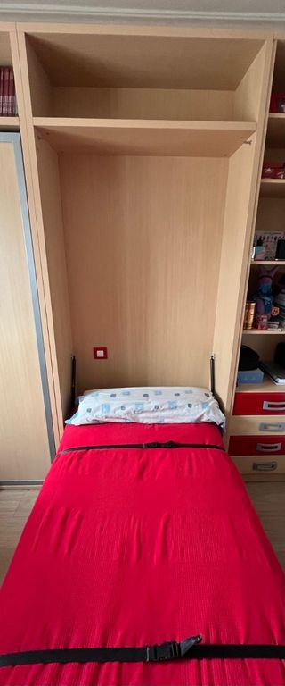 Módulo con cama abatible.