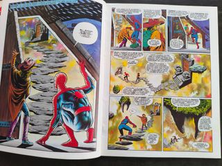 Spiderman Hooky