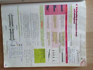 TECNICAS DE AYUDA ODONTOLOGICA Y ESTOMATOLOGICA. GRADO MEDIO