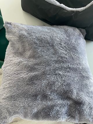 Silla de coche para mascota pequeña