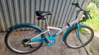 Bicicleta 20'