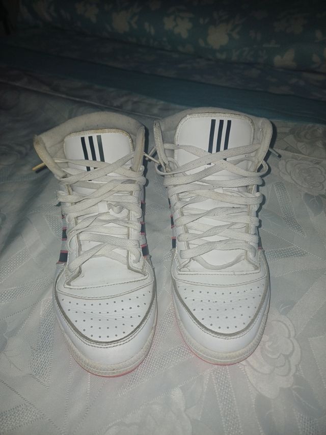 Zapatos adidas top red rb