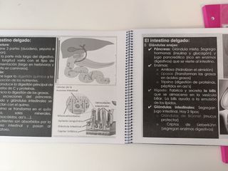 Libro biología La nutrición en animales