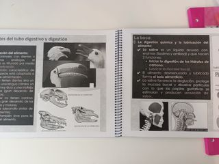 Libro biología La nutrición en animales
