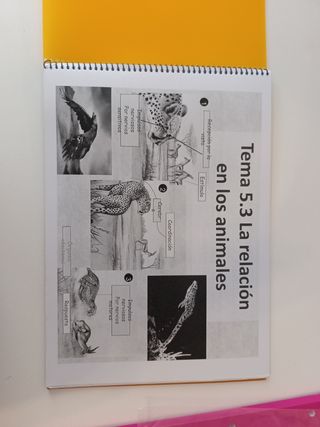 Libro biología la relación en animales