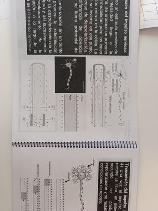 Libro biología la relación en animales