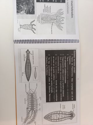 Libro biología la relación en animales
