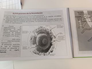 Libro biología reproducción en animales