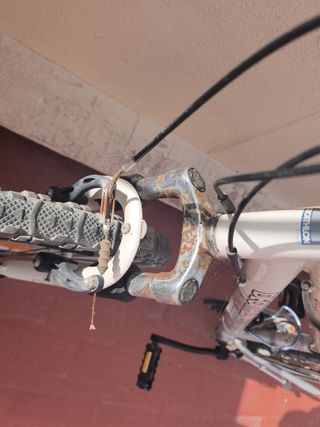 Bicicleta decathlon montaña mujer