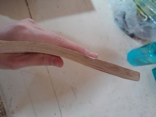 Anche le formiche nel loro piccolo s'incazzano