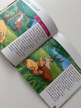 Cuento educativo El Ciervo - prelectura preescolar