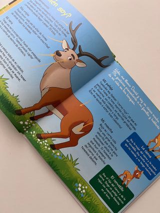 Cuento educativo El Ciervo - prelectura preescolar