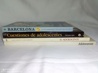 Lote de 4 Libros sobre adolescentes