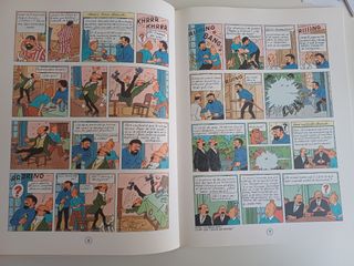 Tintin. Stock de Coque