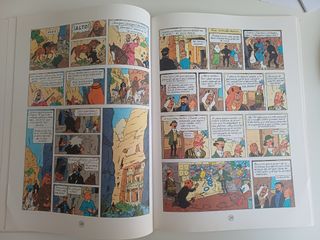 Tintin. Stock de Coque